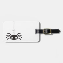 araña colgante linda con pocos ojos