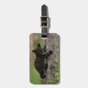 Etiqueta Para Maletas Árbol de escalada del cubo del oso negro
