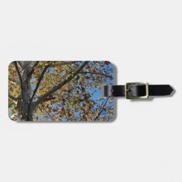 Etiqueta Para Maletas Árbol de Sycamore en la caída contra un cielo azul