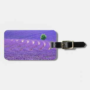 Etiqueta Para Maletas Árbol solitario en campo de lavanda, Francia