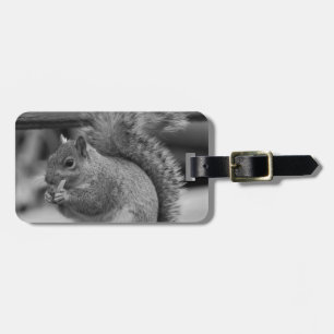 Etiqueta Para Maletas Ardilla