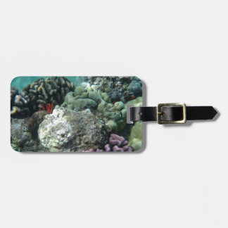 Etiqueta Para Maletas Arrecife de coral