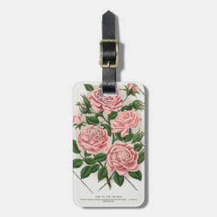 Etiqueta Para Maletas Arte Botánico de Rosa Rosa Vintage Estilo Cottagec