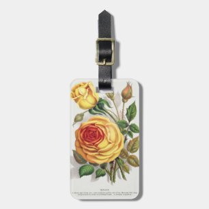 Etiqueta Para Maletas Arte Botánico Vintage Rosa Amarilla y Naranja de A