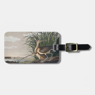 Etiqueta Para Maletas Arte de ave de Audubon de Zarapito de Pico Largo V