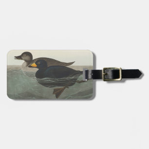 Etiqueta Para Maletas Arte de pato americano scoter vintage de Audubon