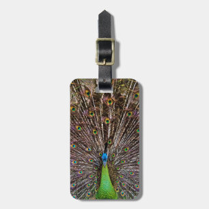 Etiqueta Para Maletas Arte de pavo real elegante y plumas