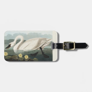 Etiqueta Para Maletas Arte Vintage de Audubon Nenúfar Cisne Blanco
