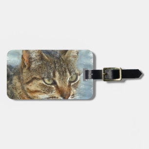 Etiqueta Para Maletas Asombroso Gato Tabby Cerrar Portra Lápiz Gráfico