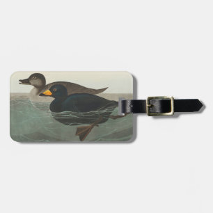 Etiqueta Para Maletas Audubon American Scoter Duck
