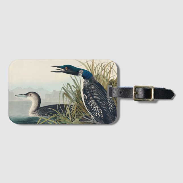 Etiqueta Para Maletas Audubon Bird Lodge Diver Classic (Anverso horizontal)