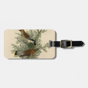 Etiqueta Para Maletas Audubon Cedar Waxwing Bird