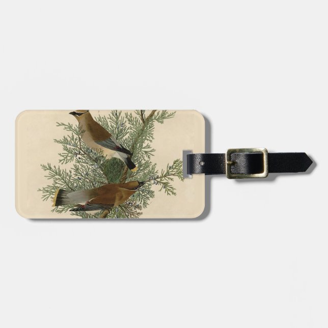 Etiqueta Para Maletas Audubon Cedar Waxwing Bird (Frente Horizontal)