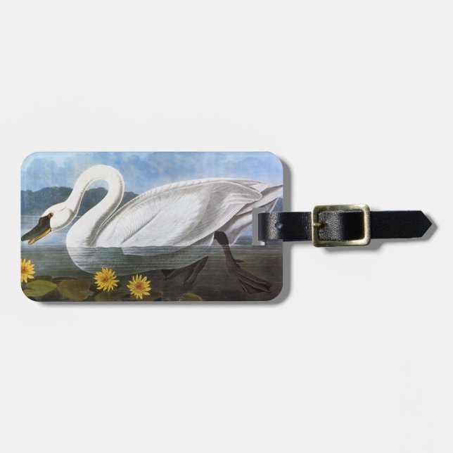 Etiqueta Para Maletas Audubon: Cisne común (Frente Horizontal)