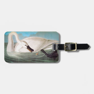 Etiqueta Para Maletas Audubon: Cisne de trompetista