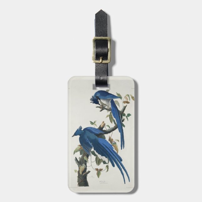 Etiqueta Para Maletas Audubon Columbia Jay Black Thropie Magpie Jay (Frente Vertical)