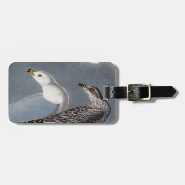Etiqueta Para Maletas Audubon: Gaviota Anillo-Cargada en cuenta (Frente Horizontal)