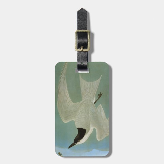 Etiqueta Para Maletas Audubon: Golondrina de mar Gaviota-Cargada en (Frente Vertical)