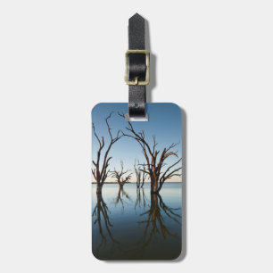 Etiqueta Para Maletas Australia, valle del río Murray, Barmera, lago