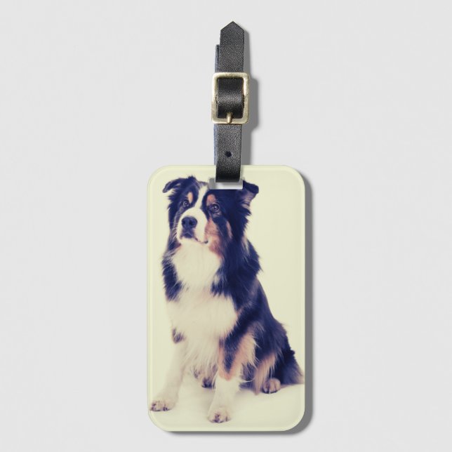 Etiqueta Para Maletas Australian Shepherd (Anverso vertical)