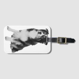 Etiqueta Para Maletas Australian Shepherd