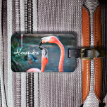 Etiqueta Para Maletas Aves de flamingo rosado divertido lindo foto nombr<br><div class="desc">¿Quién dice que los flamencos no pueden divertirse con su amigo favorito? Disfruta de esta imagen entretenida cada vez que usas esta impresionante y colorida etiqueta fotográfica personalizada para el equipaje de dos flamencos rosados jugando por ahí. ¡Hace un gran regalo para tu mejor amigo! Simplemente teclee el nombre de...</div>