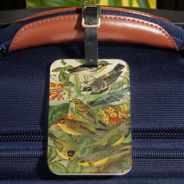 Etiqueta Para Maletas Aves de Norteamérica | Gustav Mü tzel (Anverso In situ 2)