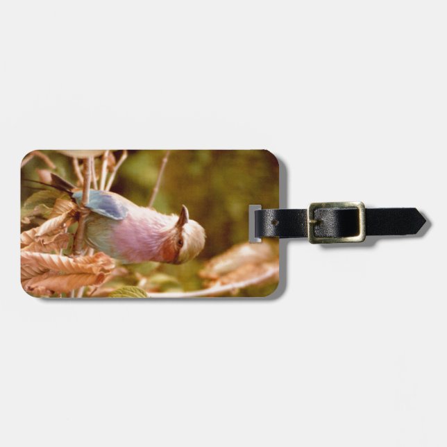 Etiqueta Para Maletas Aviario (Frente Horizontal)