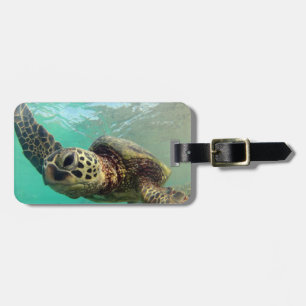 Etiqueta Para Maletas Bahía de Hanauma - tortugas de mar verde de Hawaii