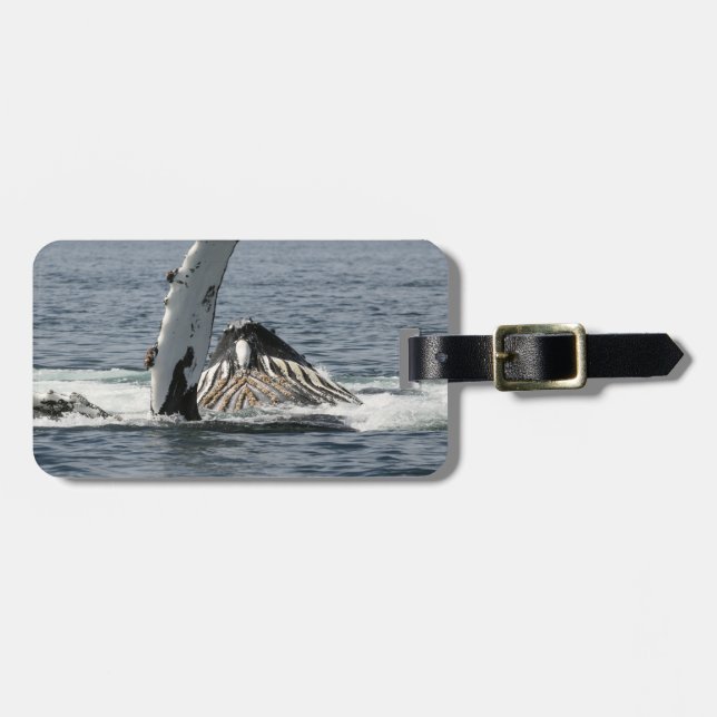 Etiqueta Para Maletas Ballena jorobada (Frente Horizontal)