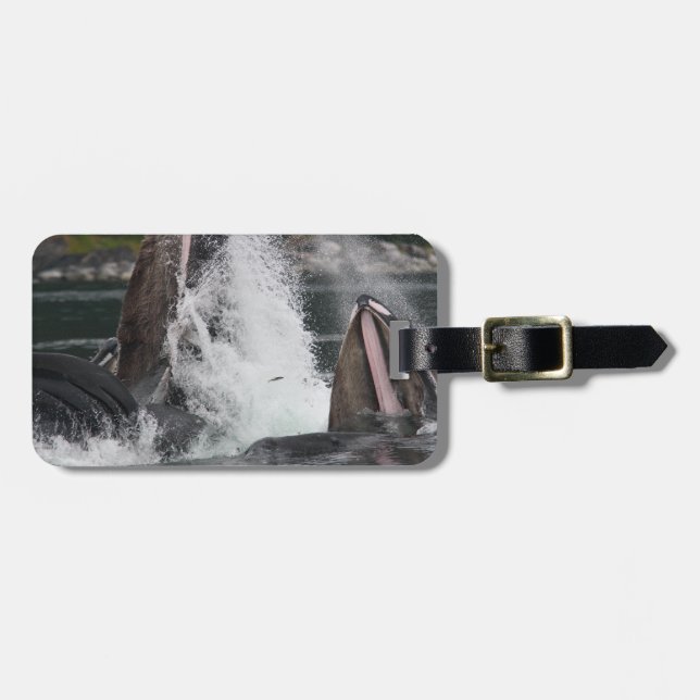 Etiqueta Para Maletas ballenas (Frente Horizontal)