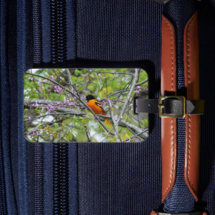 Etiqueta Para Maletas Baltimore Oriole