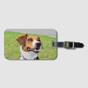 Etiqueta Para Maletas Beagle
