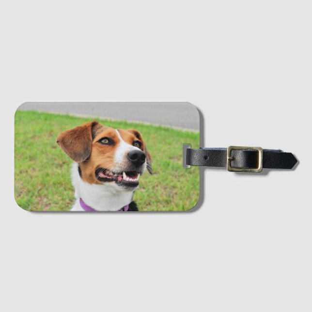 Etiqueta Para Maletas Beagle (Anverso horizontal)