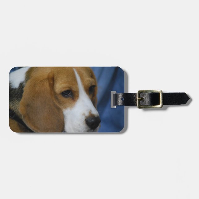 Etiqueta Para Maletas beagle-31.jpg (Frente Horizontal)