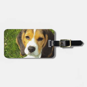 Etiqueta Para Maletas Beagle Dog Mascota Animales Paz Amor