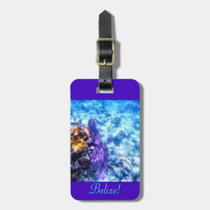 Etiqueta Para Maletas Belice personalizó
