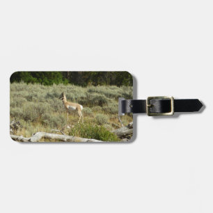 Etiqueta Para Maletas Berrendo en el Parque Nacional Grand Teton