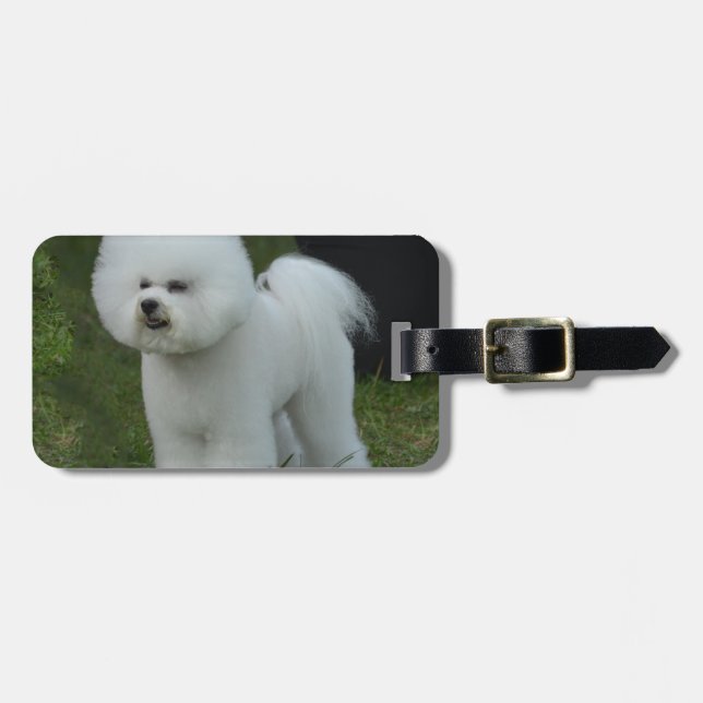 Etiqueta Para Maletas Bichon adorable (Frente Horizontal)