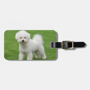 Etiqueta Para Maletas Bichon Frise