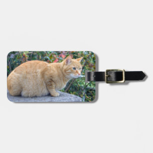 Etiqueta Para Maletas Big Red Tabby