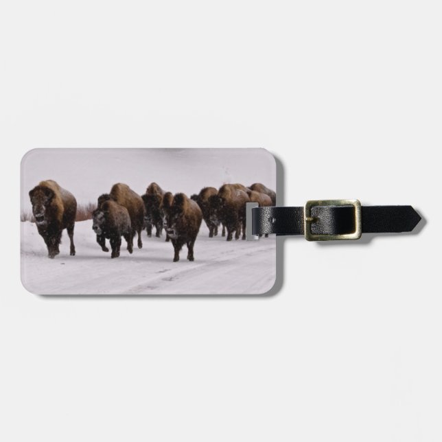 Etiqueta Para Maletas Bisonte en invierno (Frente Horizontal)
