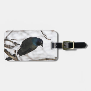 Etiqueta Para Maletas Black Bird