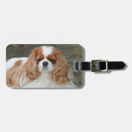 Etiqueta Para Maletas Blenheim Cavalier King Charles Puppy Dog