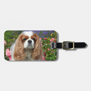 Etiqueta Para Maletas Blenheim Cavalier King Charles Spaniel Dog