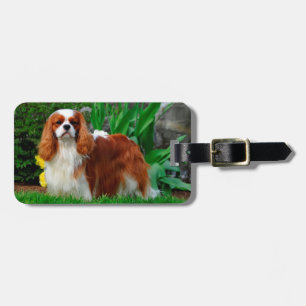 Etiqueta Para Maletas Blenheim Cavalier King Charles Spaniel Perro de Ca