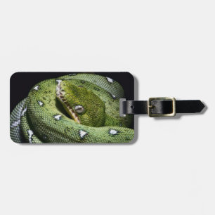 Etiqueta Para Maletas Boa esmeralda de la serpiente verde del árbol en
