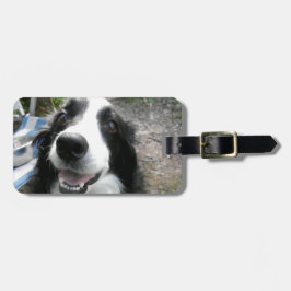 ETIQUETA PARA MALETAS BORDER COLLIE