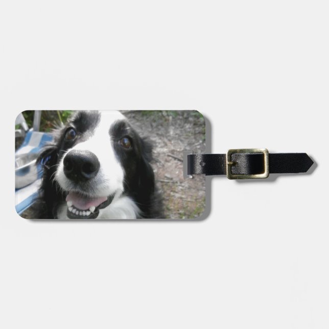 ETIQUETA PARA MALETAS BORDER COLLIE (Frente Horizontal)