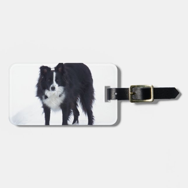 Etiqueta Para Maletas Border collie (Frente Horizontal)